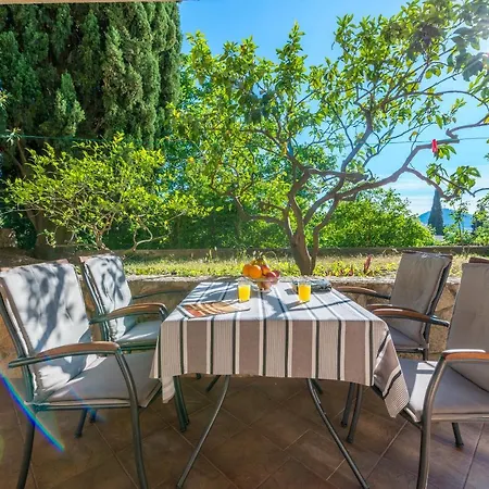 Sunlit Comfort Lägenhet